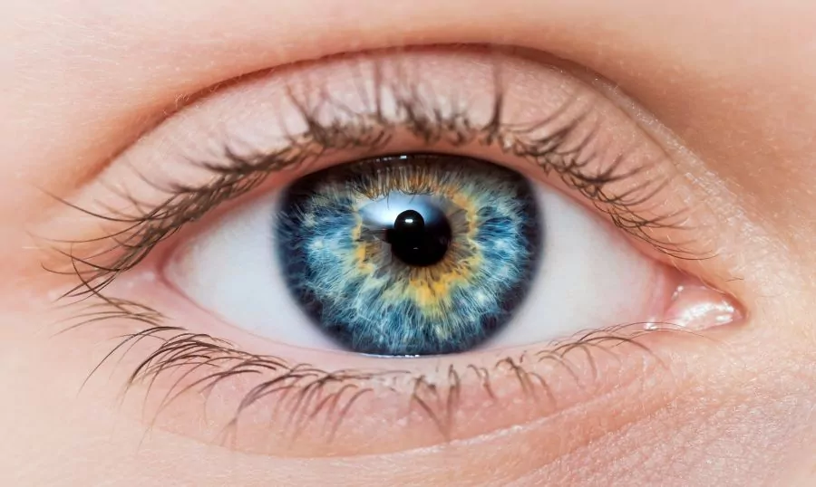 hormones and eye health